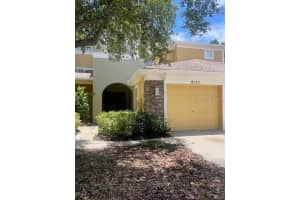 8153 STONE LEAF LANE, TAMPA, FL 33647 - MLS#MFRTB8402240