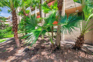 3062 EASTLAND BOULEVARD, CLEARWATER, FL 33761 - MLS#MFRTB8402290