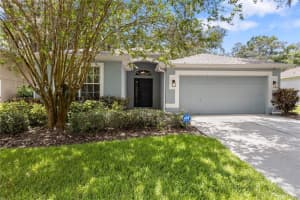 2910 Red Coat Cir, BRANDON
