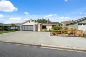 11422 BROWN BEAR LANE, PORT RICHEY, FL 34668 - MLS#MFRTB8402305