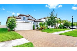 10842 Rolling Moss Rd, TAMPA