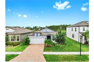 10842 ROLLING MOSS ROAD, TAMPA, FL 33647 - MLS#MFRTB8402306