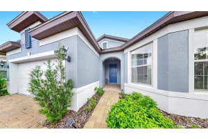 10842 ROLLING MOSS ROAD, TAMPA, FL 33647 - MLS#MFRTB8402306