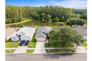 30638 NICKERSON LOOP, WESLEY CHAPEL, FL 33543 - MLS#MFRTB8402312