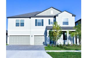 13520 White Sapphire Rd, RIVERVIEW
