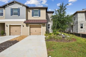 17516 NECTAR FLUME DRIVE, LAND O LAKES, FL 34638 - MLS#MFRTB8402363