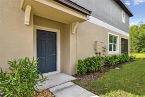 17516 NECTAR FLUME DRIVE, LAND O LAKES, FL 34638 - MLS#MFRTB8402363