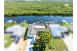 909 Silver Palm Way, APOLLO BEACH