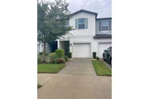 3926 Cat Mint St, TAMPA