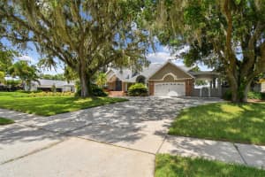 10517 LAKE WILLIAMS DRIVE, ODESSA, FL 33556 - MLS#MFRTB8402419
