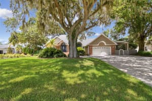 10517 LAKE WILLIAMS DRIVE, ODESSA, FL 33556 - MLS#MFRTB8402419