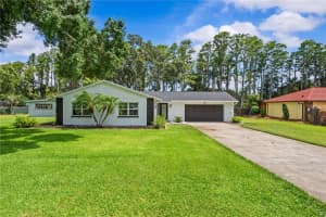 210 Lake Hobbs Rd, LUTZ