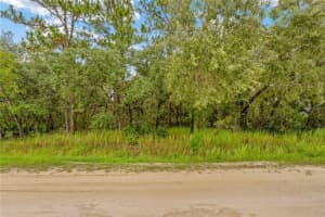 0000 MAYBIRD AVENUE, WEEKI WACHEE, FL 34613 - MLS#MFRTB8402450