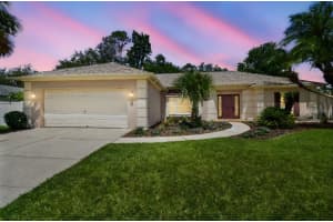 18504 Putters Pl, TAMPA