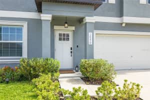 10270 SHADY PRESERVE DRIVE, RIVERVIEW, FL 33578 - MLS#MFRTB8402515