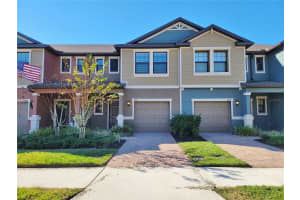 16922 RED BRICK LANE, LAND O LAKES, FL 34638 - MLS#MFRTB8402542