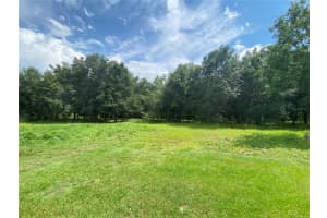 31326 TYNDALL ROAD, WESLEY CHAPEL, FL 33545 - MLS#MFRTB8402561
