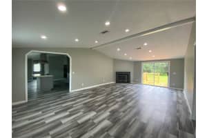 31326 TYNDALL ROAD, WESLEY CHAPEL, FL 33545 - MLS#MFRTB8402561