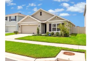5474 FLINT HILLS DRIVE, WIMAUMA, FL 33598 - MLS#MFRTB8402563