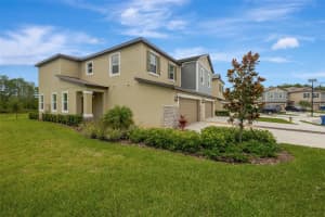 17741 TAWNY MALT PLACE, LAND O LAKES, FL 34638 - MLS#MFRTB8402565