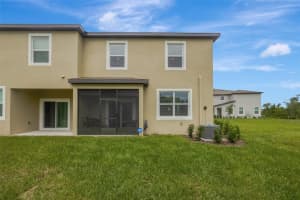 17741 TAWNY MALT PLACE, LAND O LAKES, FL 34638 - MLS#MFRTB8402565