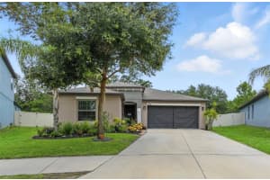 10040 Caraway Spice Ave, RIVERVIEW