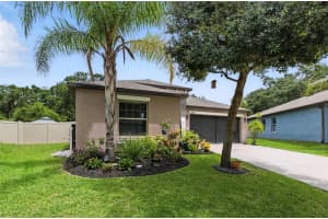 10040 CARAWAY SPICE AVENUE, RIVERVIEW, FL 33578 - MLS#MFRTB8402568