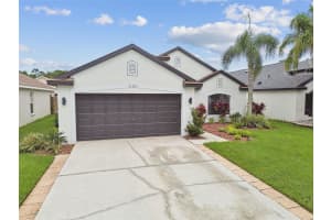 11311 CYPRESS RESERVE DRIVE, TAMPA, FL 33626 - MLS#MFRTB8402581
