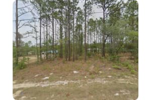 1561 GAINSBORO LANE, CITRUS SPRINGS, FL 34434 Sold 11/21/25