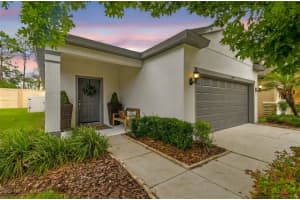 6218 MAGNOLIA PARK BOULEVARD, RIVERVIEW, FL 33578 Sold 08/08/25