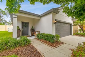 6218 MAGNOLIA PARK BOULEVARD, RIVERVIEW, FL 33578 Sold 08/08/25