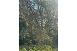 3310 TREIMAN BOULEVARD, DADE CITY, FL 33523 - MLS#MFRTB8402623