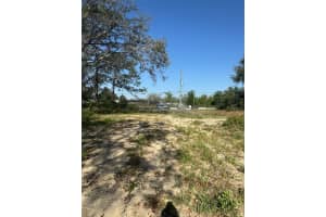 3310 TREIMAN BOULEVARD, DADE CITY, FL 33523 - MLS#MFRTB8402623