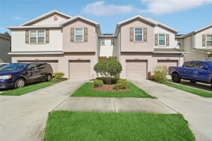 4935 White Sanderling Ct, TAMPA