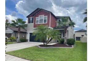 1596 Ludington Ave, WESLEY CHAPEL