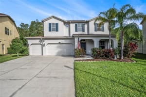 4329 Vermillion Sky Dr, WESLEY CHAPEL