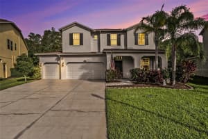 4329 VERMILLION SKY DRIVE, WESLEY CHAPEL, FL 33544 - MLS#MFRTB8402697
