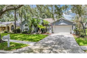 7224 Yardley Way, TAMPA