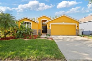 6914 Monarch Park Dr, APOLLO BEACH