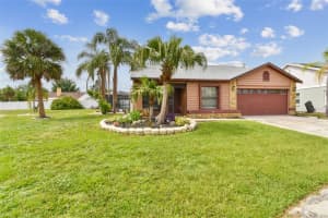 11304 PLUMTREE COURT, RIVERVIEW, FL 33579 - MLS#MFRTB8402784