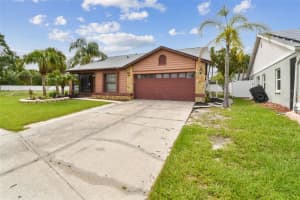 11304 PLUMTREE COURT, RIVERVIEW, FL 33579 - MLS#MFRTB8402784