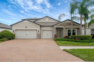 18125 Roseate Dr, LUTZ