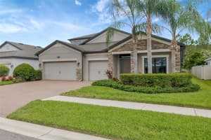 18125 ROSEATE DRIVE, LUTZ, FL 33558 - MLS#MFRTB8402798
