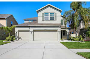 13333 Palmera Vista Dr, RIVERVIEW