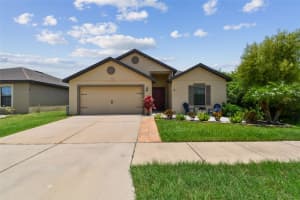 1715 CHATHAM GREEN CIRCLE, RUSKIN, FL 33570 - MLS#MFRTB8402849