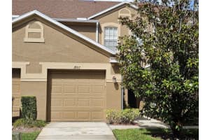 18917 Duquesne Dr, TAMPA