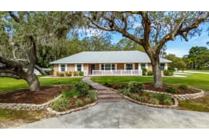 11301 Donneymoor Dr, RIVERVIEW
