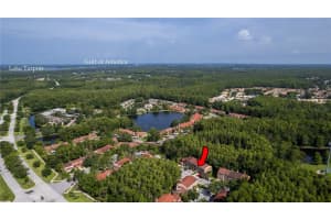 4117 DAVENTRY LANE, PALM HARBOR, FL 34685 - MLS#MFRTB8402978