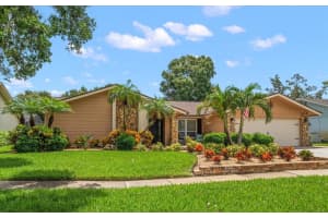 2567 Frisco Dr, CLEARWATER