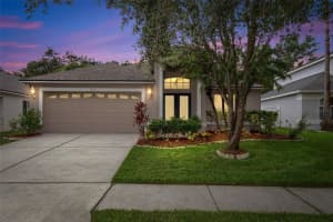 18144 SANDY POINTE DRIVE, TAMPA, FL 33647 Sold 08/11/25